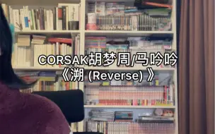 Descargar video: 唱唱看《溯（Reverse）》