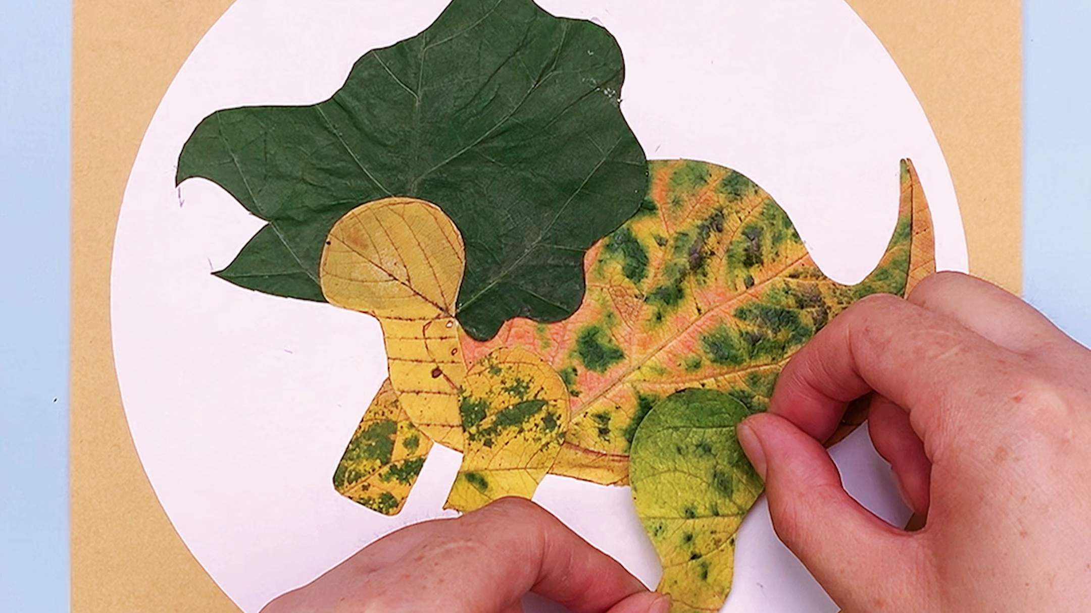 用秋天的落叶拼贴一副小朋友都喜欢的三角龙