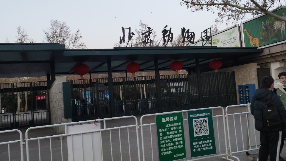 北京动物园附近的冬日傍晚风景