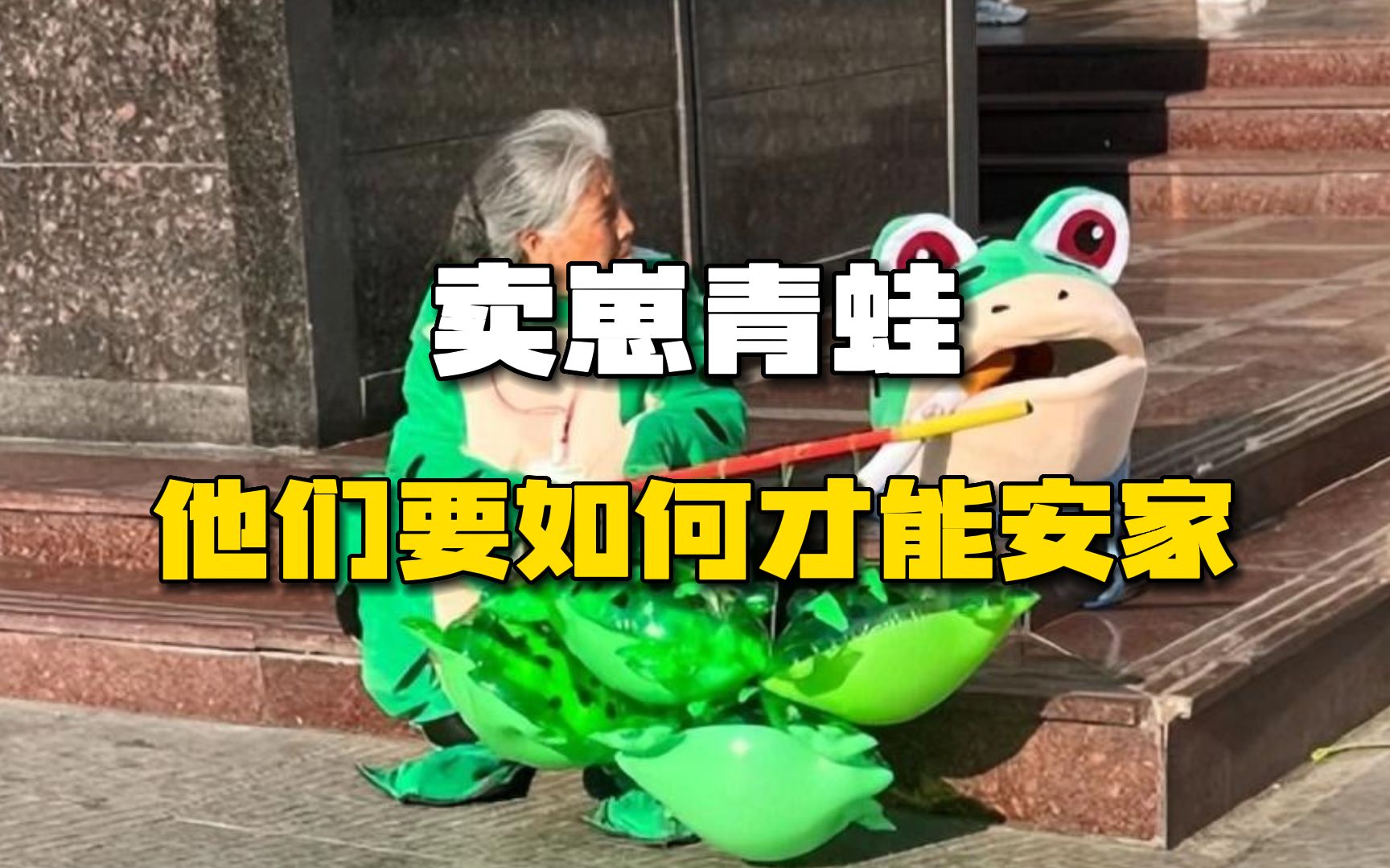 卖崽青蛙渲染城市烟火气息,02火遍全国却被抓,他们要如何才能安家?