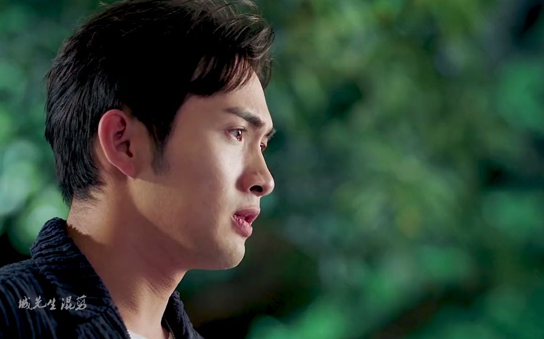 司藤恋爱后的司藤开花了张彬彬对你的喜欢就如同这日子只增不减