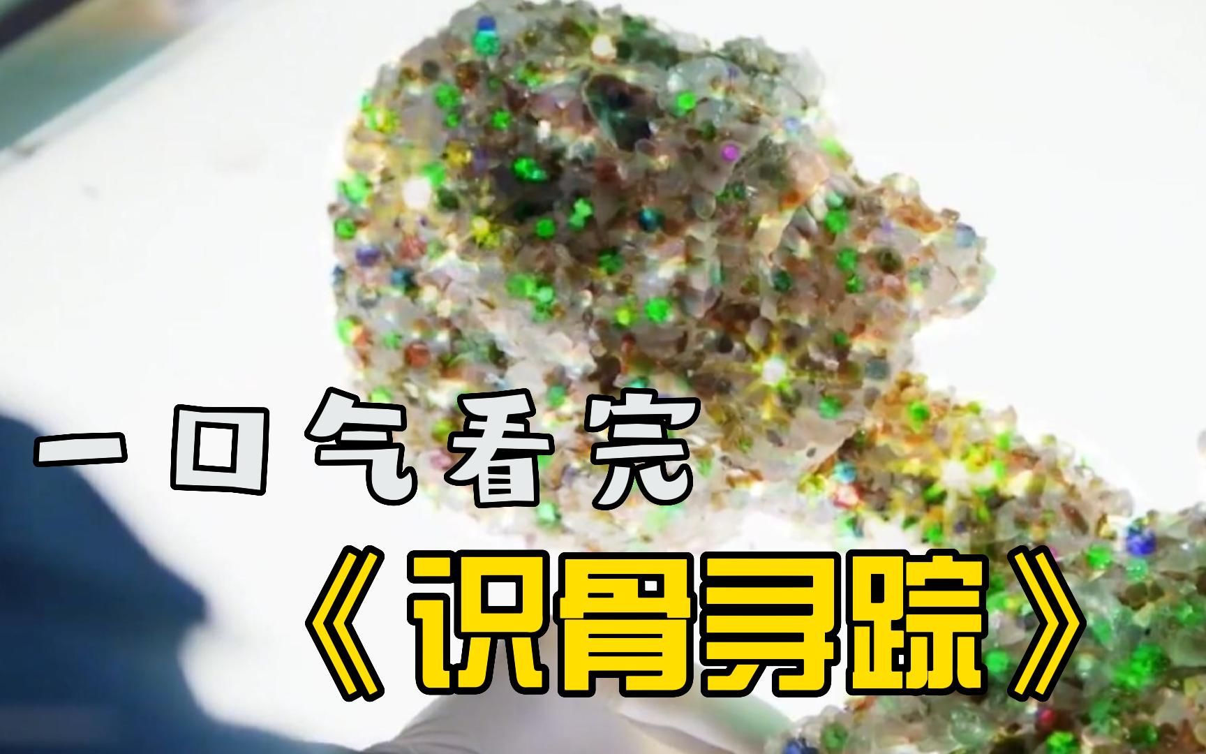 一口气按完高分悬疑美剧《识骨寻踪》,最美"尸骨"长满钻石,凶手令人意