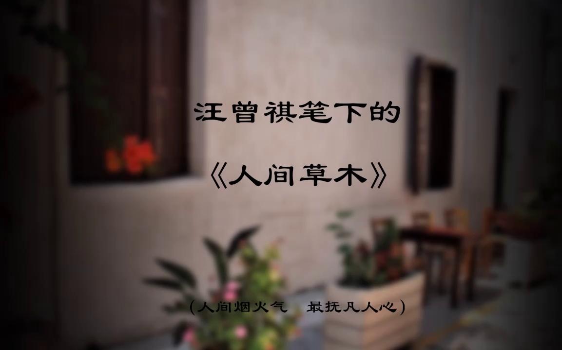 [图]【汪曾祺|人间草木】如果你快乐，那就读一读《人间草木》