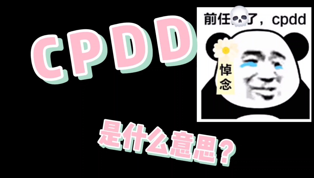 【cpdd】是什么意思?背后隐藏着怎样的神秘故事?哔哩哔哩bilibili