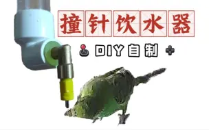 Télécharger la video: 【虎皮鹦鹉】DIY自制撞针饮水器