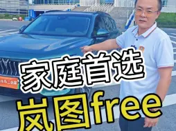 Download Video: 稀缺配色岚图free，是不是很少见