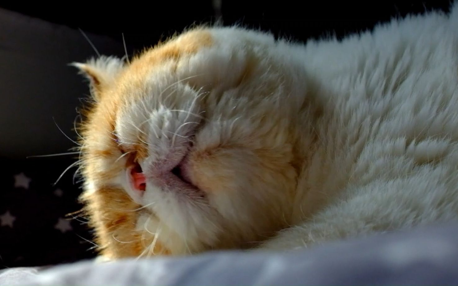 小胖子做有氧累惨了