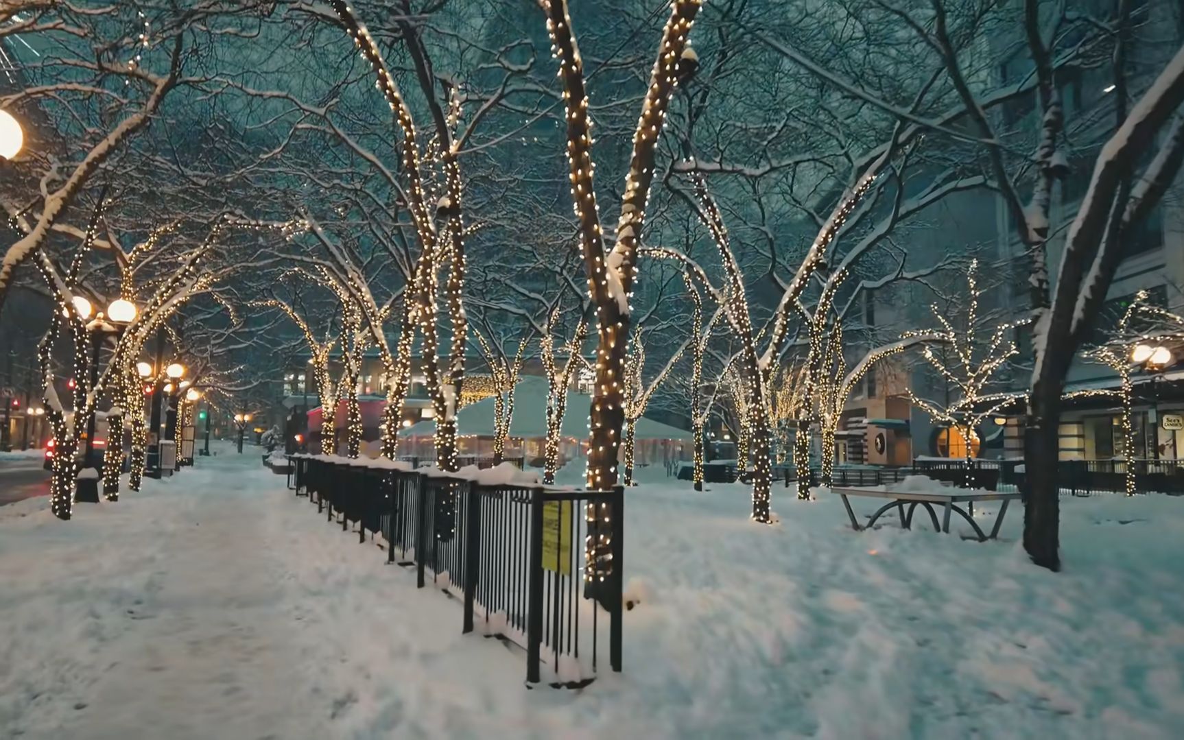 [图]西雅图 清晨6点雪地漫步 从市中心到太空针塔 绝美雪景与城市相融