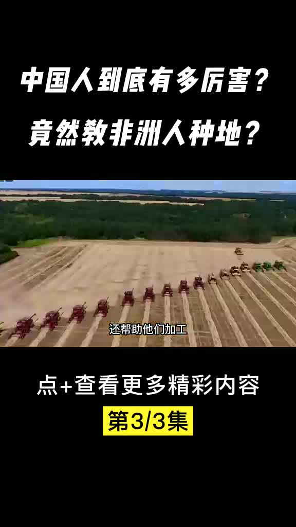 [图]中国人太实在了，教非洲人种地，一条龙全包了？#非洲 #插秧 #耕田种地 #杂交水稻 #科普知识 #冷知识