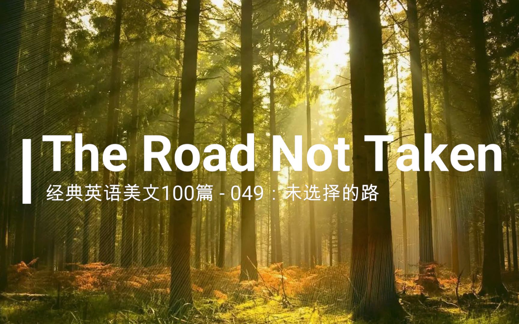 经典英文美文100篇之049:The Road Not Taken(未选择的路)哔哩哔哩bilibili