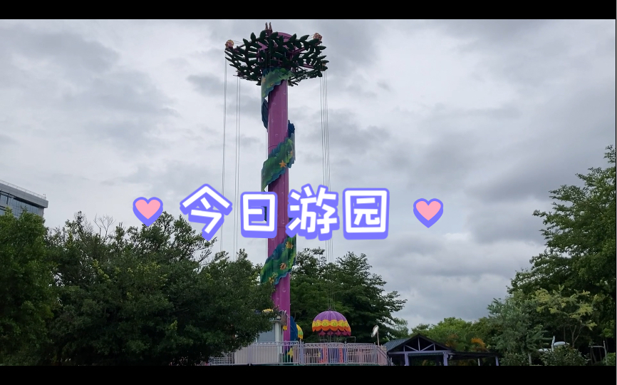 一个人游园不怕晒花美草绿虫鸣鸟啼打卡步行一万步