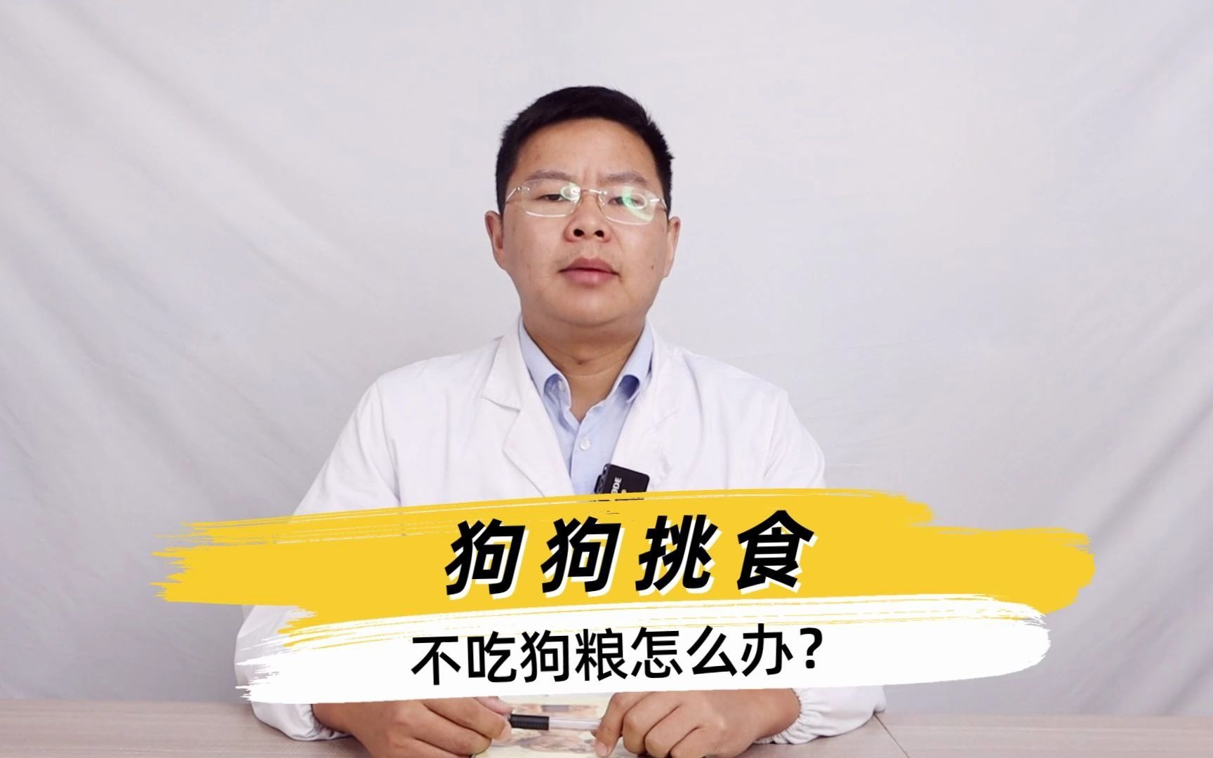 狗狗挑食不吃狗粮怎么办?四招教你解决!哔哩哔哩bilibili