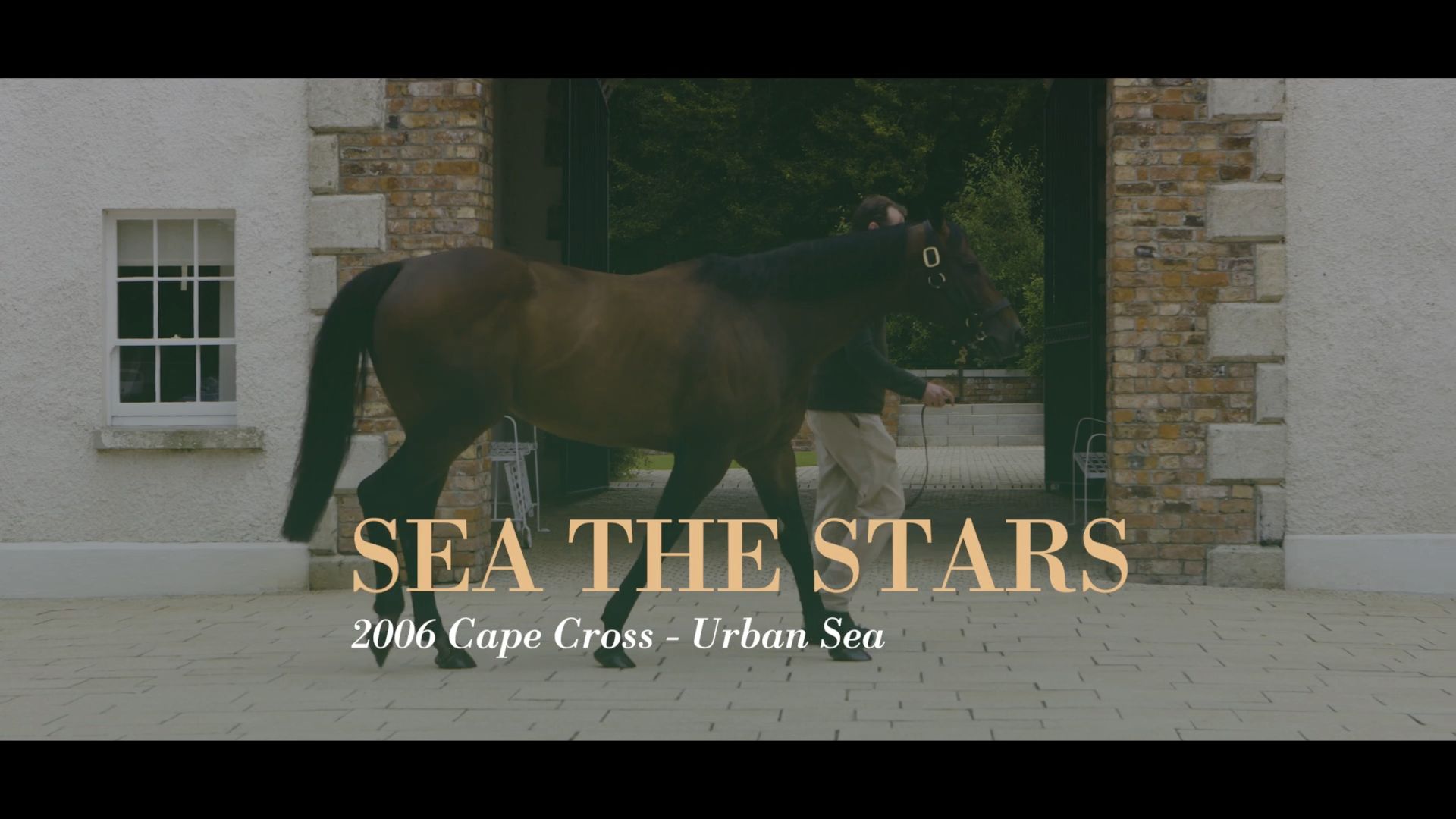 【Aga Khan Studs】海都之星 (Sea The Stars) 2025季阿加汗种马宣传片哔哩哔哩bilibili