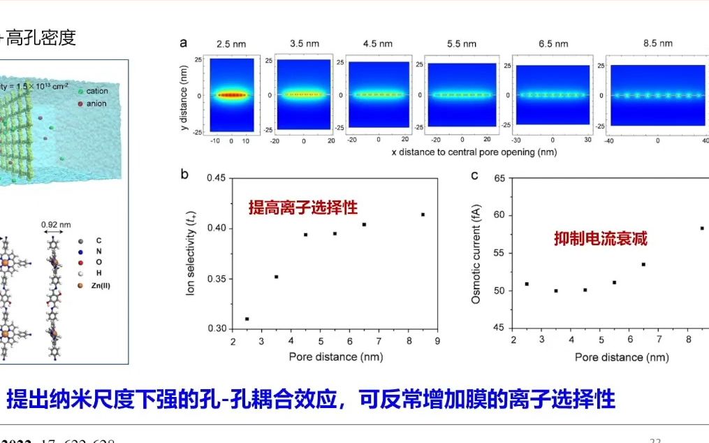 20231026国家纳米科学中心唐智勇自组装多孔分离膜的构建及应用哔哩哔哩bilibili