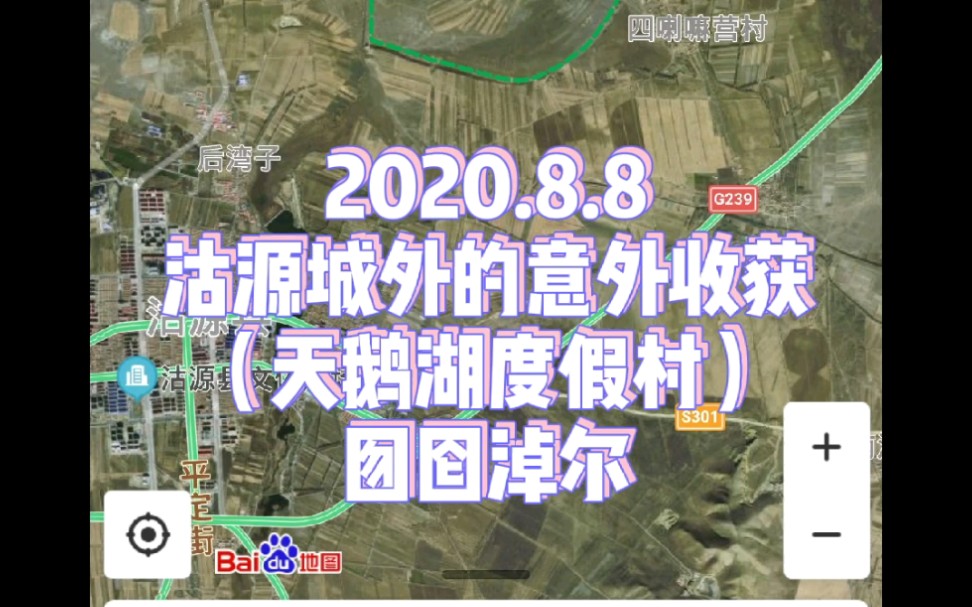 2020.8.8沽源城外的意外收获——天鹅湖自然风景区哔哩哔哩bilibili