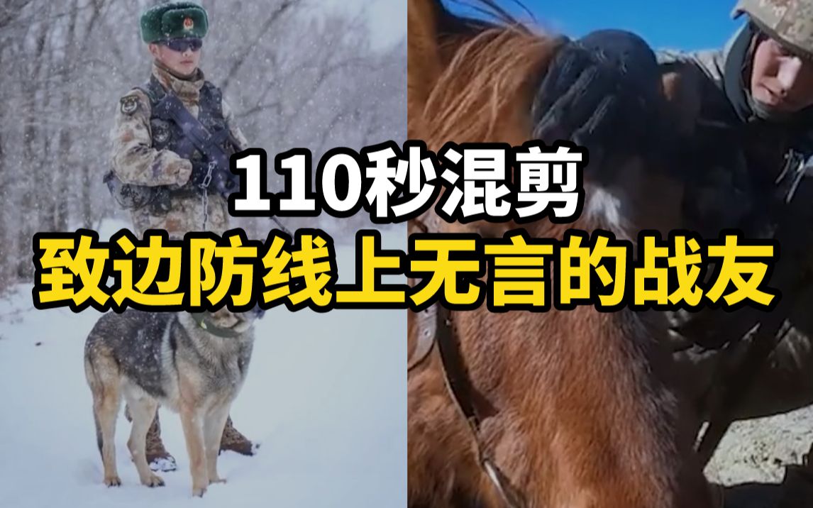 [图]【110秒混剪】致边防线上无言的战友！