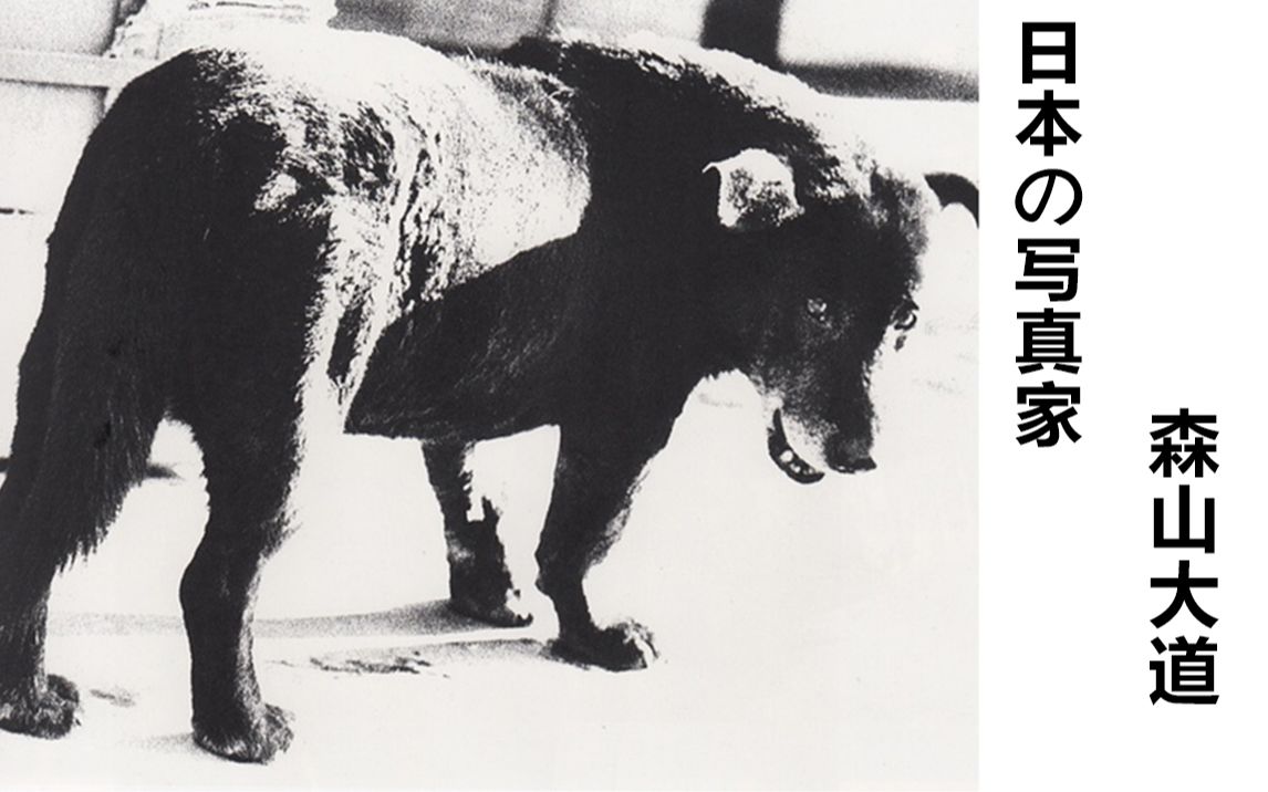 日本の写真家森山大道