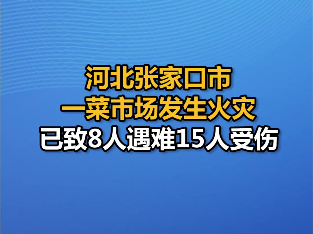 河北张家口市一菜市场发生火灾,已致8人遇难15人受伤哔哩哔哩bilibili