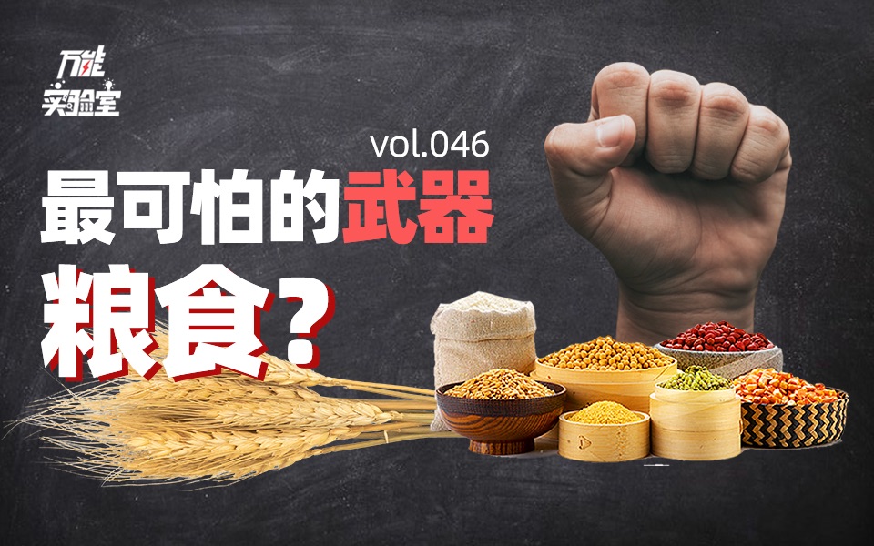 中美持续15年的博弈:掀翻世界的粮食战争,中国如何自卫?哔哩哔哩bilibili