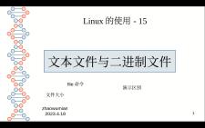 15文本文件与二进制文件哔哩哔哩bilibili