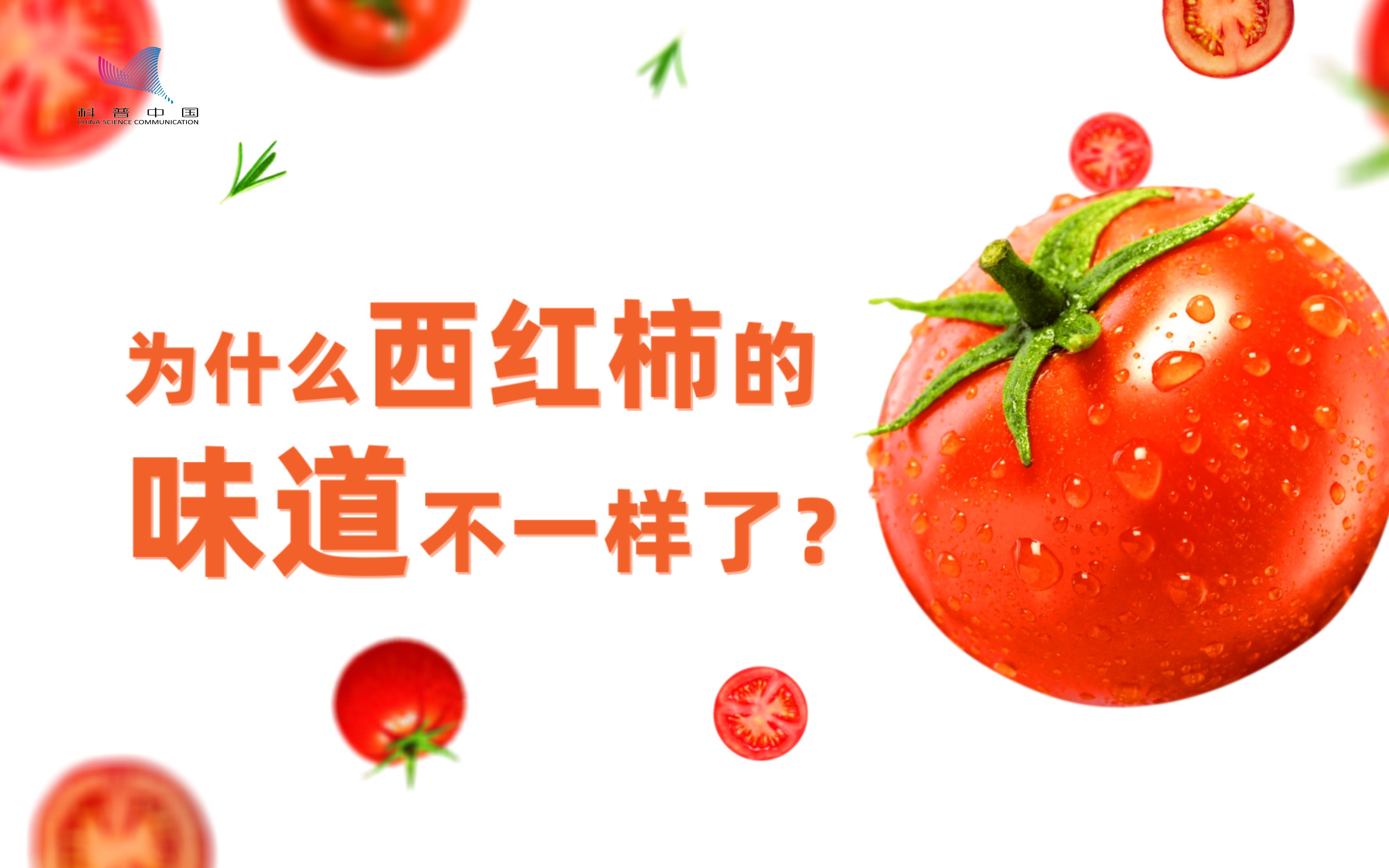 [图]西红柿没有小时候好吃了？是我们口味变了还是西红柿味道变了？