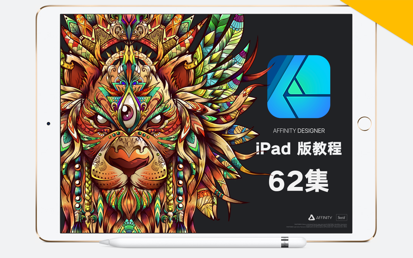 【教程】Affinity Designer iPad 版教程 62集 [中文字幕] [官网教程完整版]哔哩哔哩bilibili