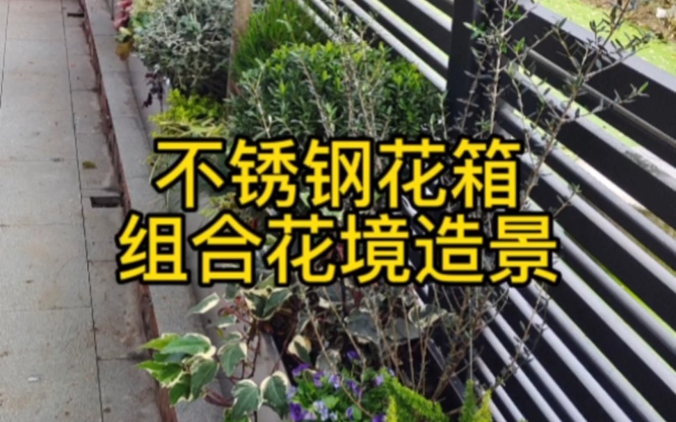 不锈钢花槽植物造景哔哩哔哩bilibili