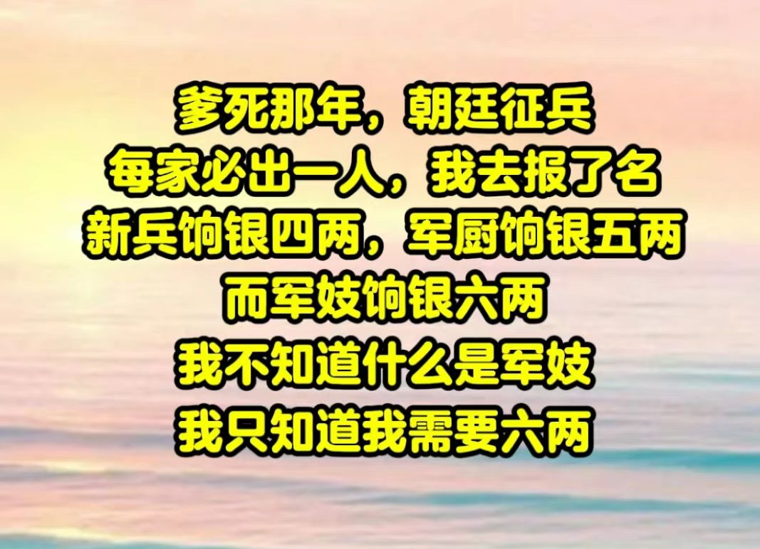 爹死那年,朝廷征兵,每家必出一人,我去报了名.新兵饷银四两,军厨饷银五两,而军妓饷银六两哔哩哔哩bilibili