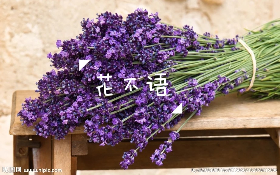 [图]【花不语】＼99种花语分享／！