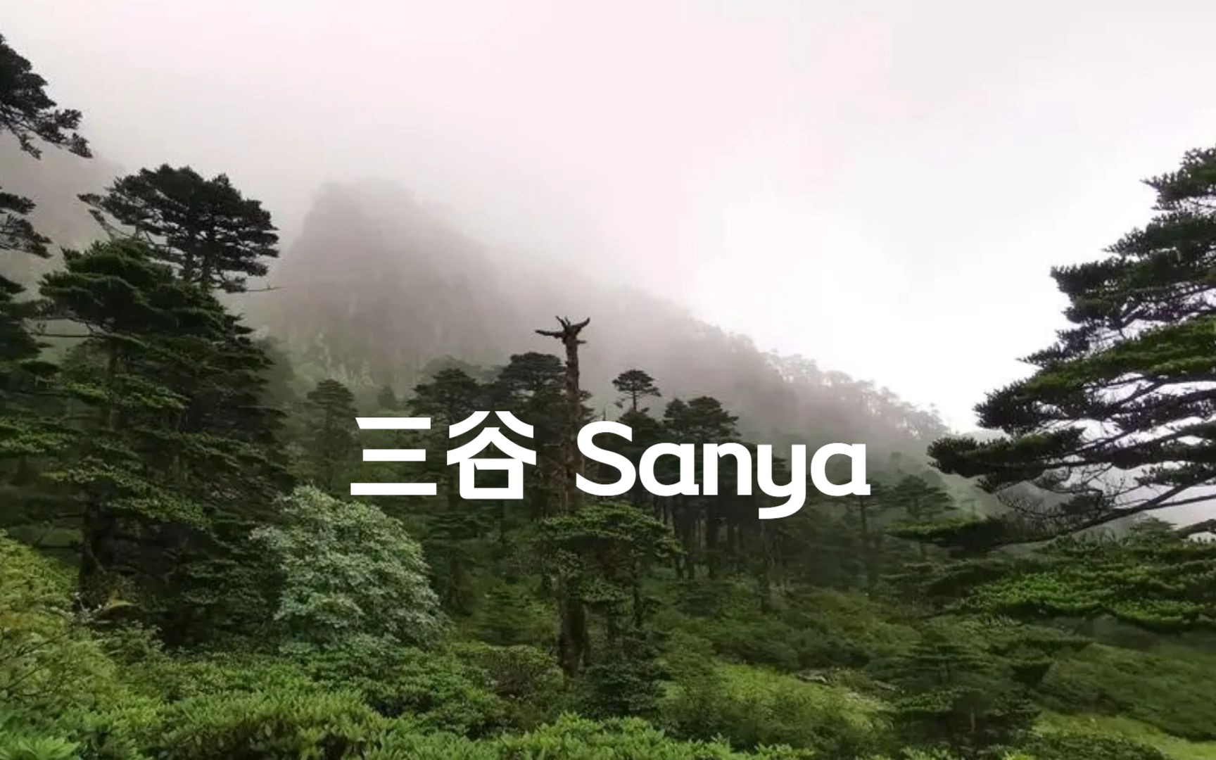 三谷sanya(部分)二尺四寸管