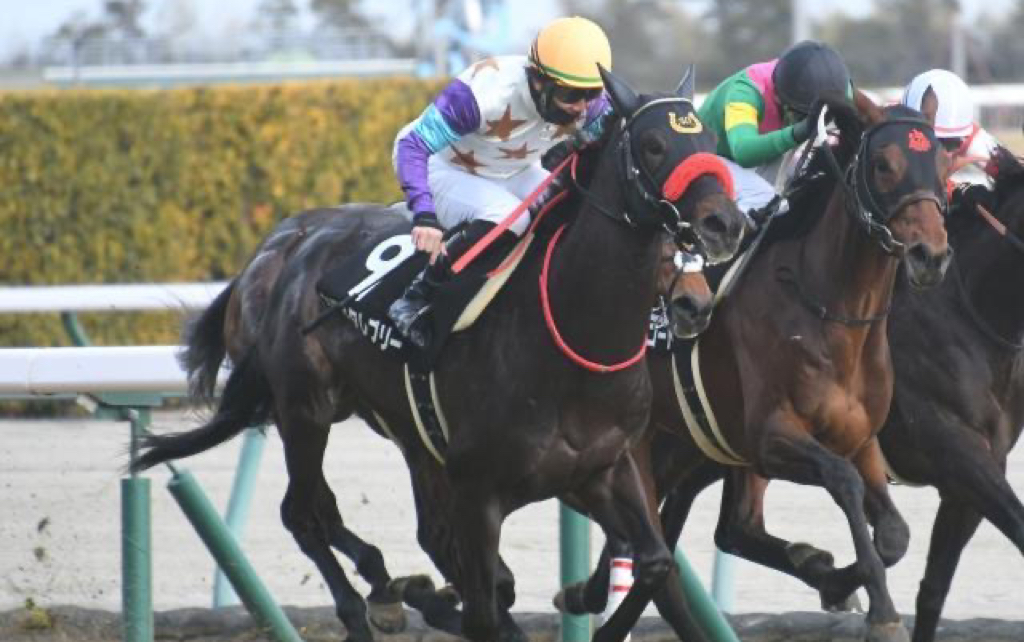 日本赛马2022129白梅赏3岁1胜级追风产驹カワキタレブリー获胜