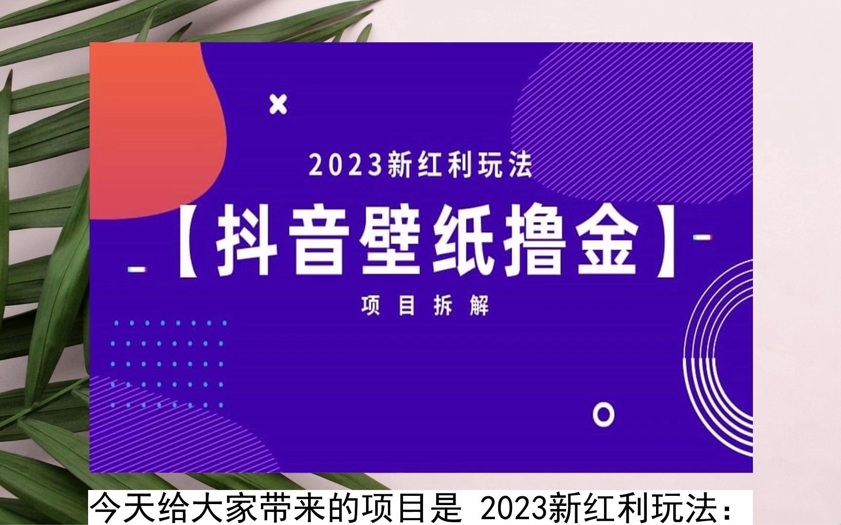 2023-2023新紅利玩法:抖音壁紙擼金項目