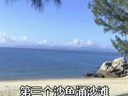 Télécharger la video: 深圳6个免费沙滩，可以免费游泳