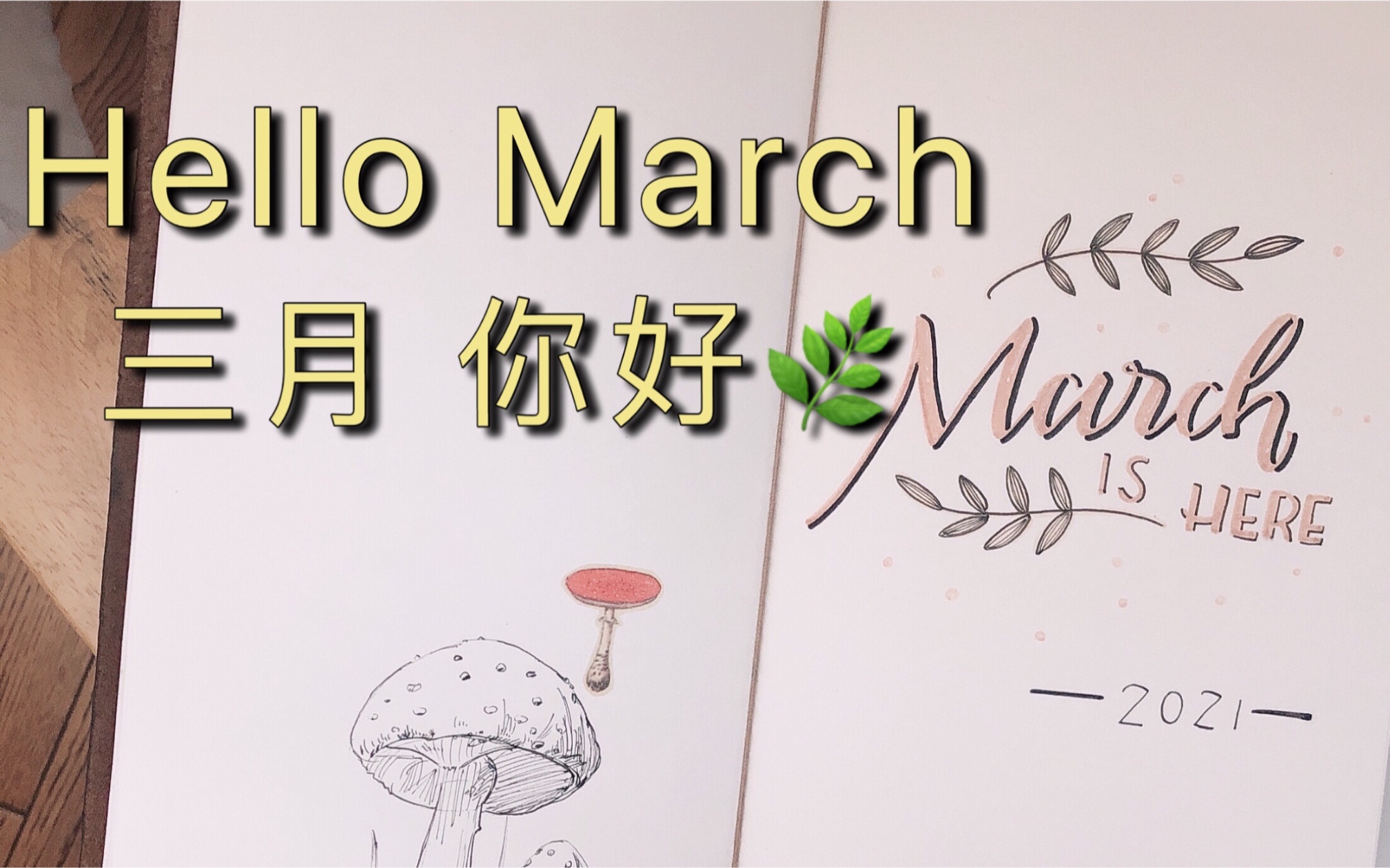 march三月怎么读图片