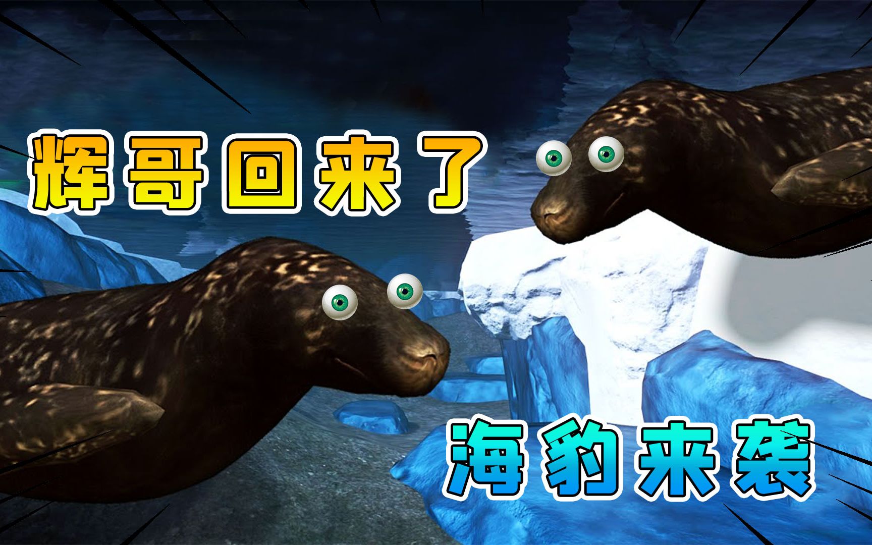 动物园之星53辉哥回来了迎来了第一只海洋生物可爱的海豹