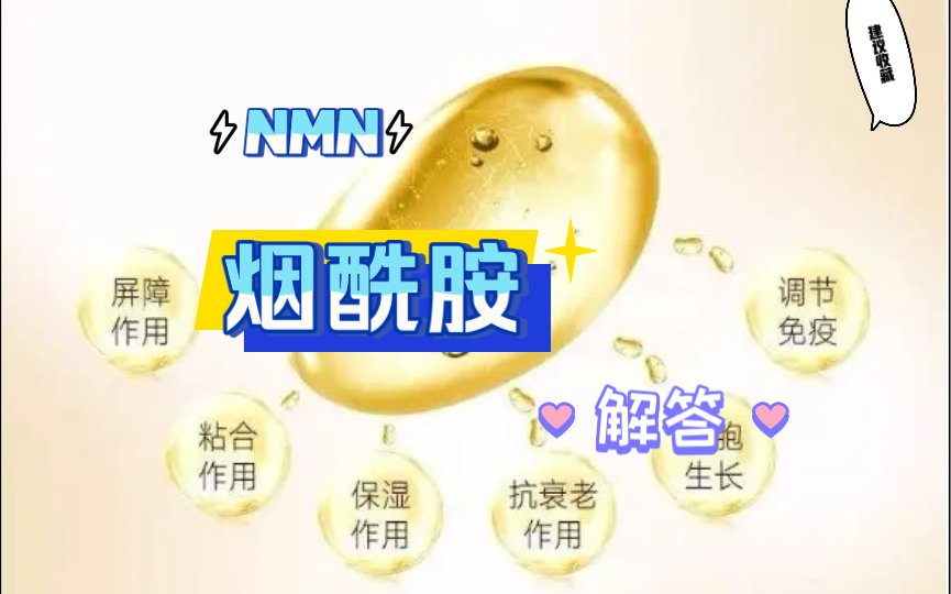 详解烟酰胺哔哩哔哩bilibili