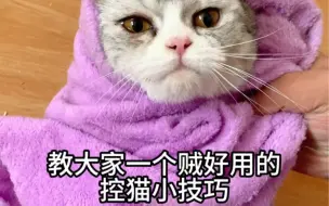 Download Video: 教大家一个贼好用的控猫小技巧#新手养猫 #养猫经验分享 #铲屎官的乐趣