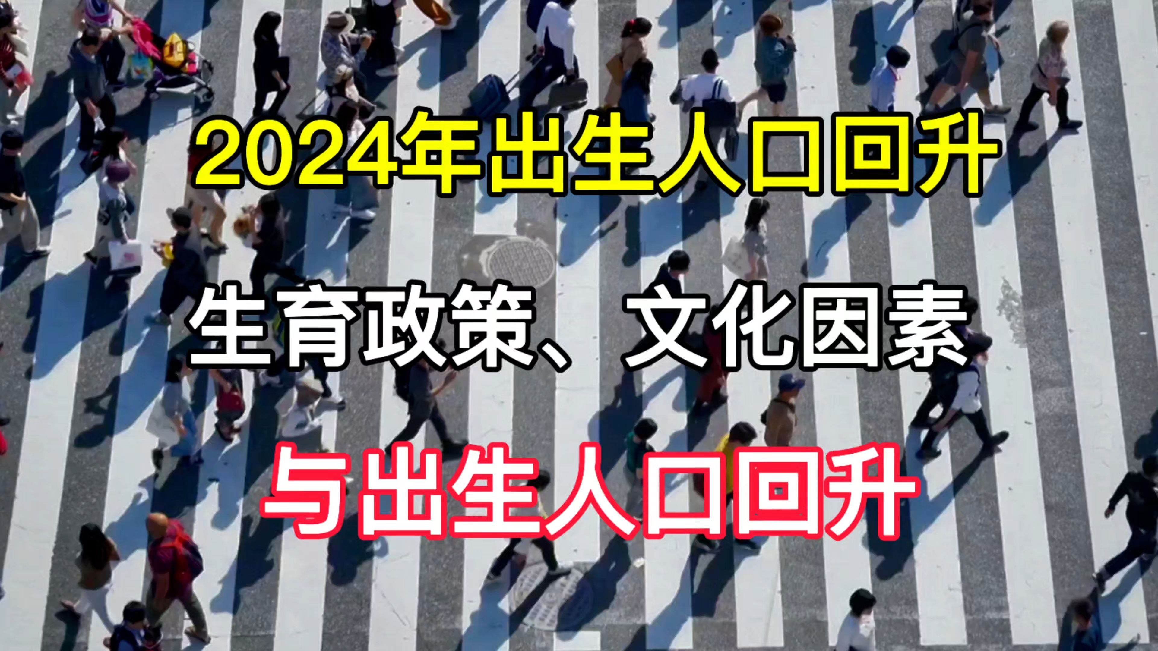 2024年出生人口回升,生育政策、文化因素与出生人口回升哔哩哔哩bilibili