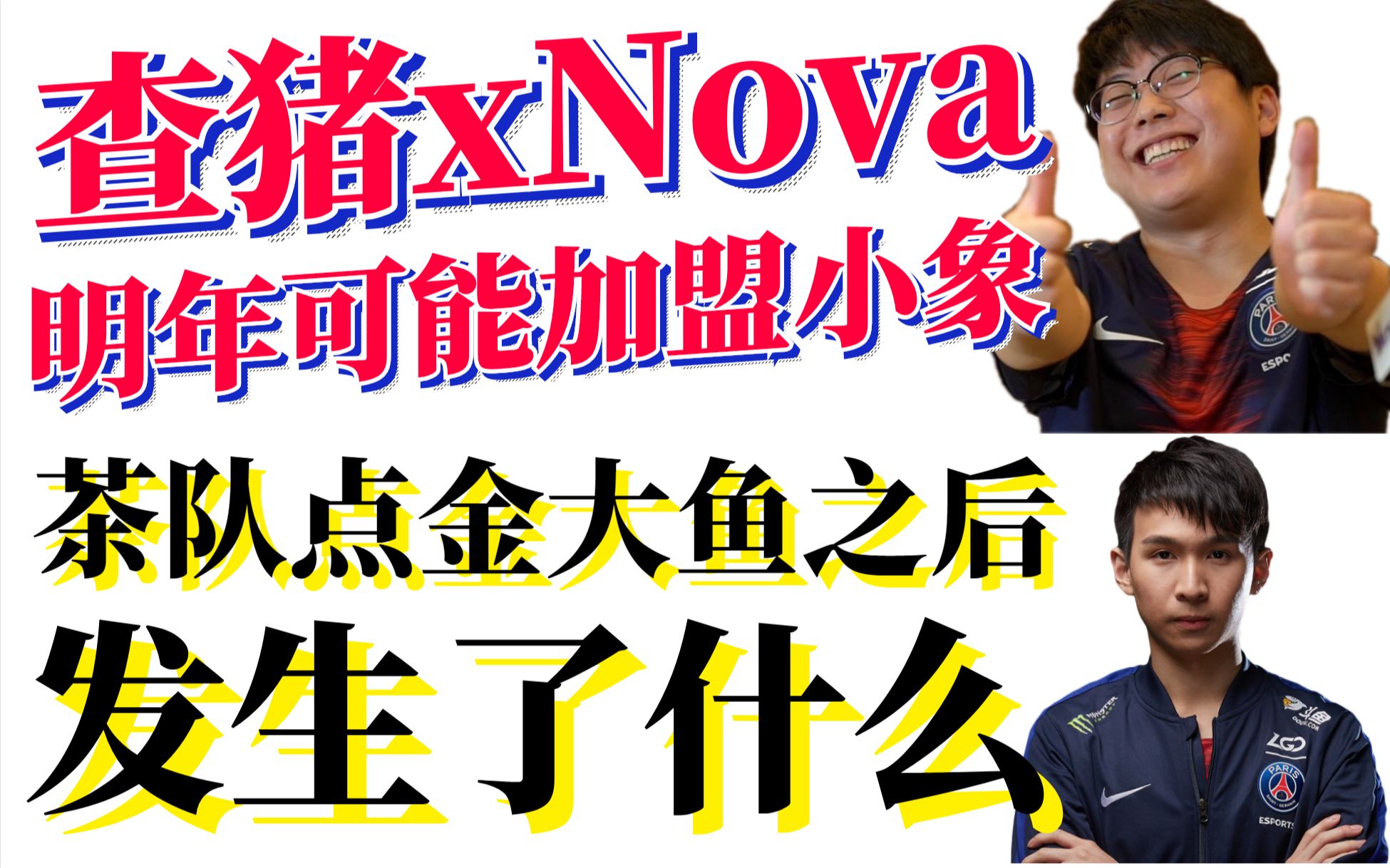 R神爆料查猪xNova明年可能加盟小象;国土聊点金大鱼后发生了什么;否定Fy关于茶队中路看法;茶队在五号位上的打算哔哩哔哩bilibili