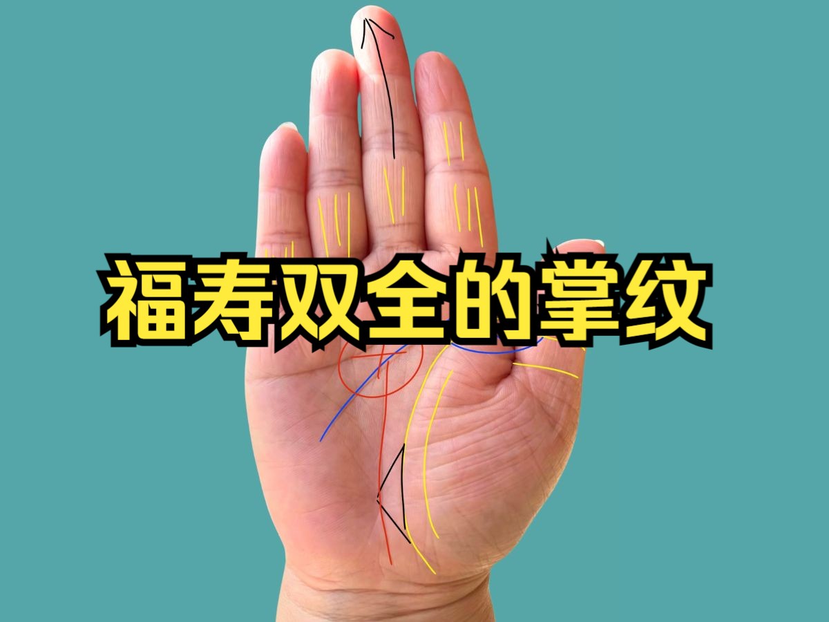 罕见掌纹:福寿双全的手