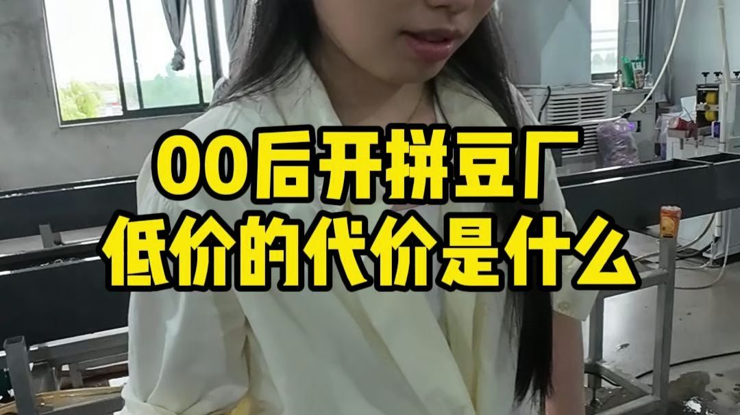 00后开拼豆厂低价的代价是什么#拼豆#我爱拼豆#源头工厂拼豆