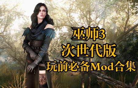 [图]《巫师3》次世代版必备Mod合集