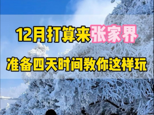 如果你打算十二月份来一趟张家界,切记不要跟团#张家界旅游攻略 #湖南张家界 #张家界天门山 #天门山旅游攻略哔哩哔哩bilibili