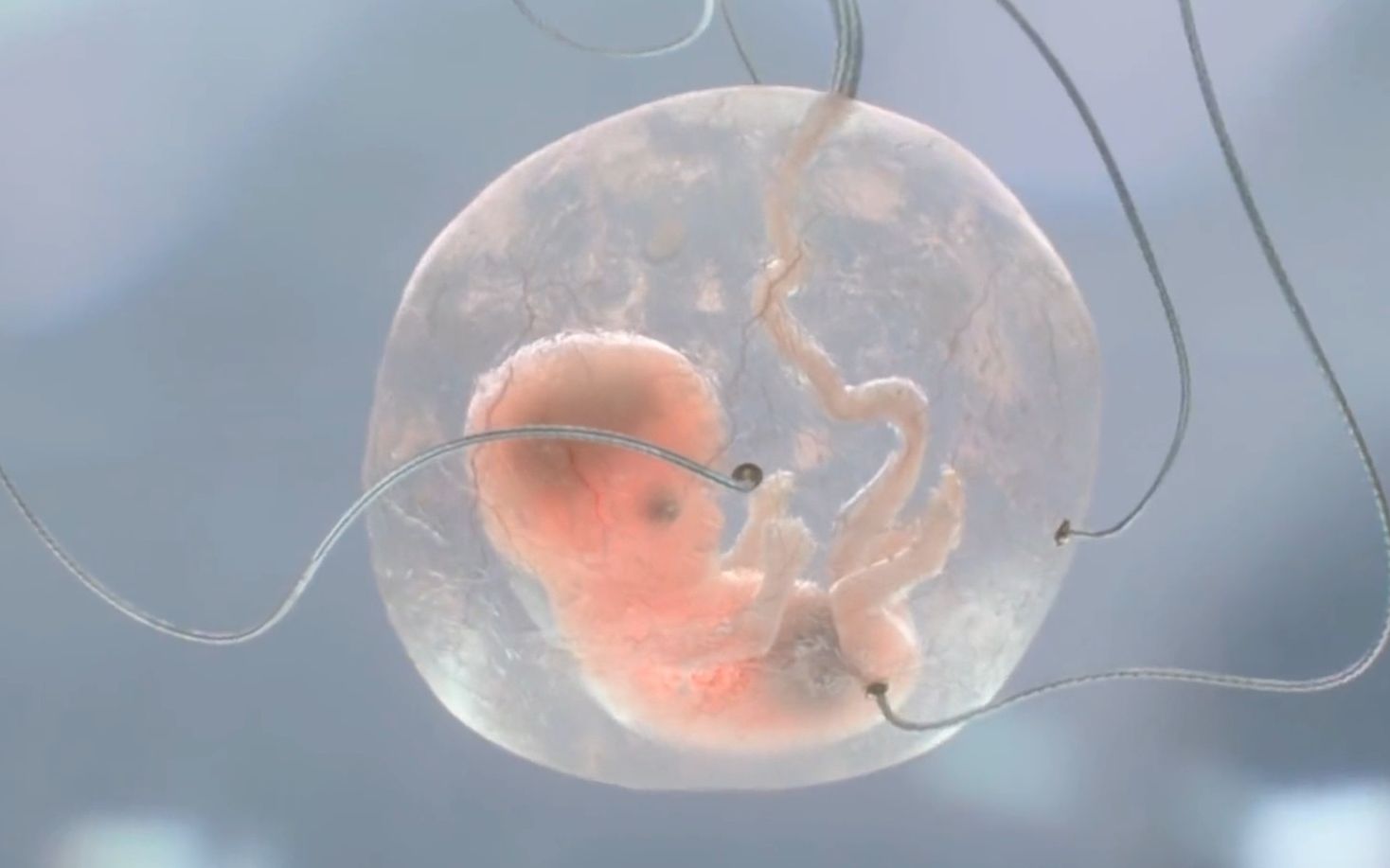 2/3将胚胎植入人造子宫,仅需24小时,就能长成新生婴儿