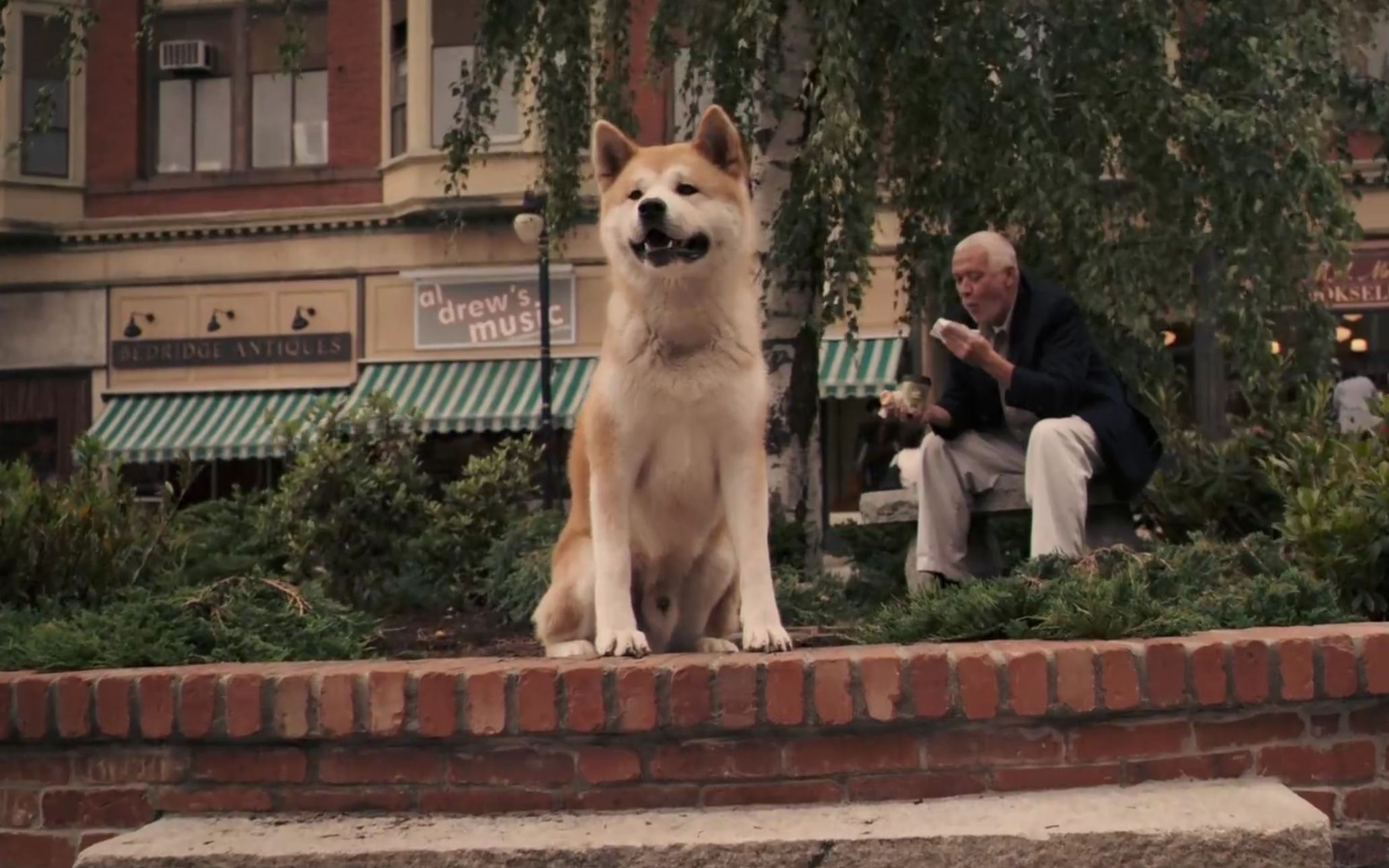 八公犬电影图片