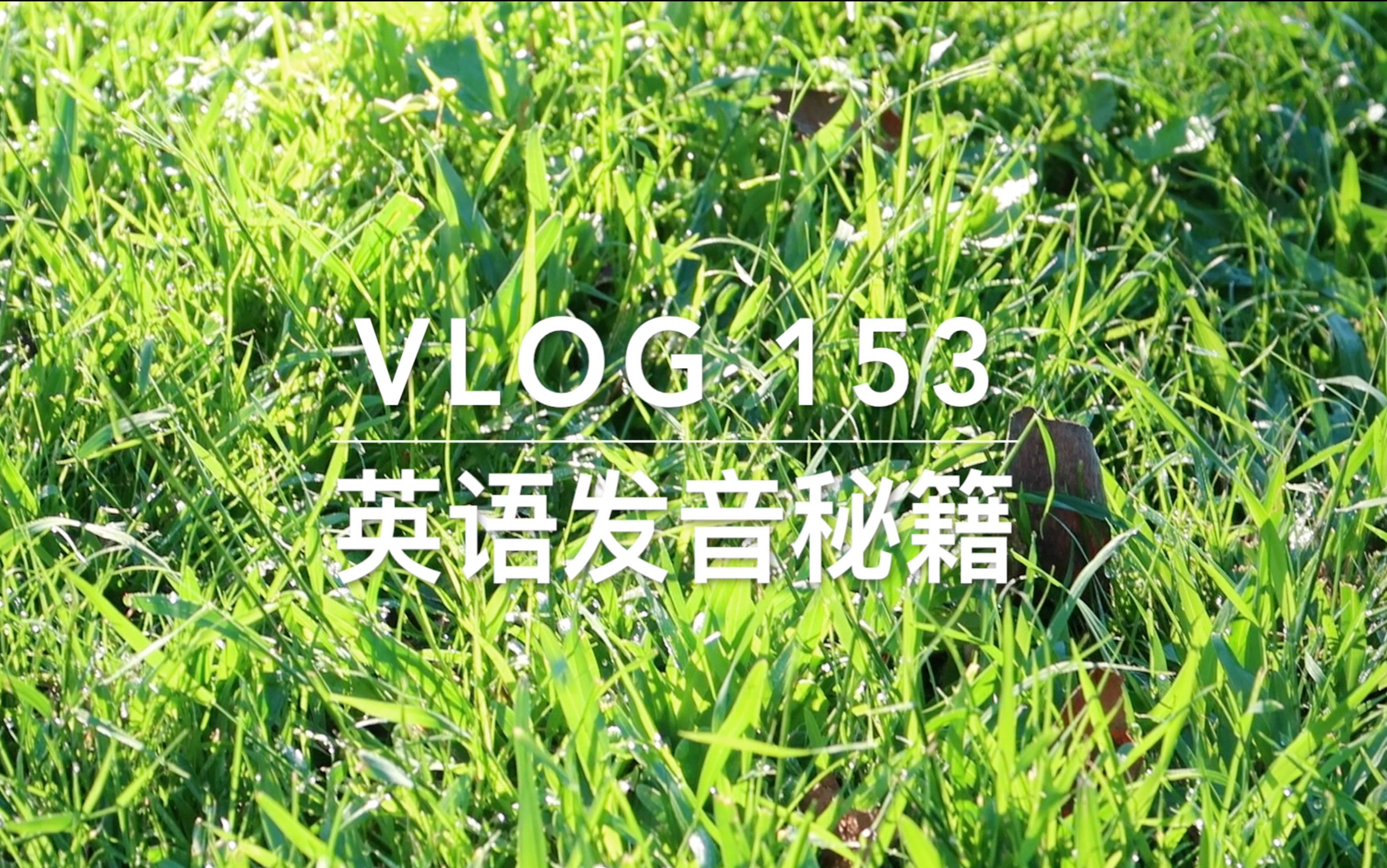 英语发音秘籍(新西兰 Harold Vlog 153)哔哩哔哩bilibili