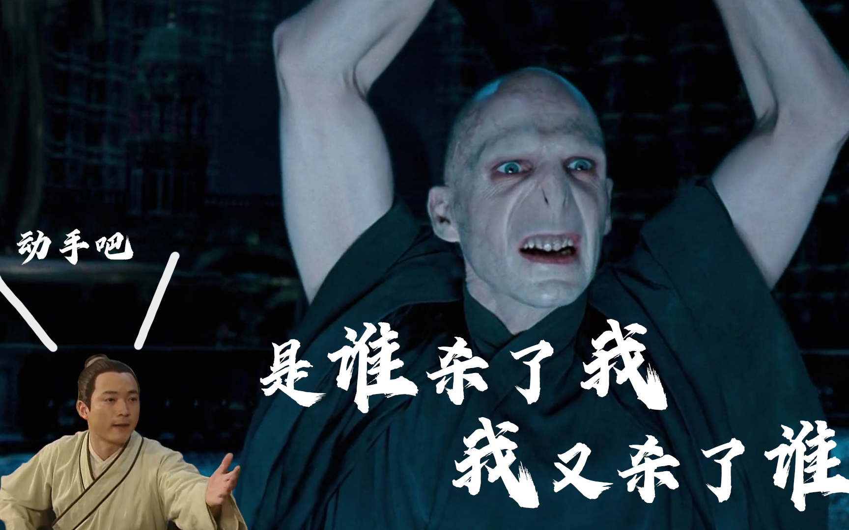 武林外传丨哈利波特伏地魔是谁杀了我我又杀了谁
