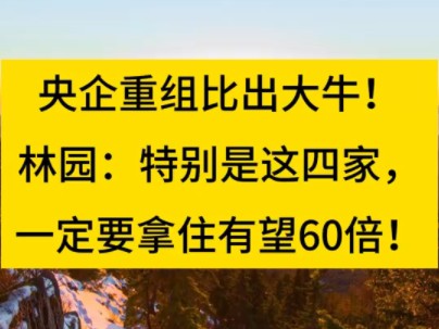 突发新闻!央企重组出大牛!新闻联播放了5分钟!哔哩哔哩bilibili