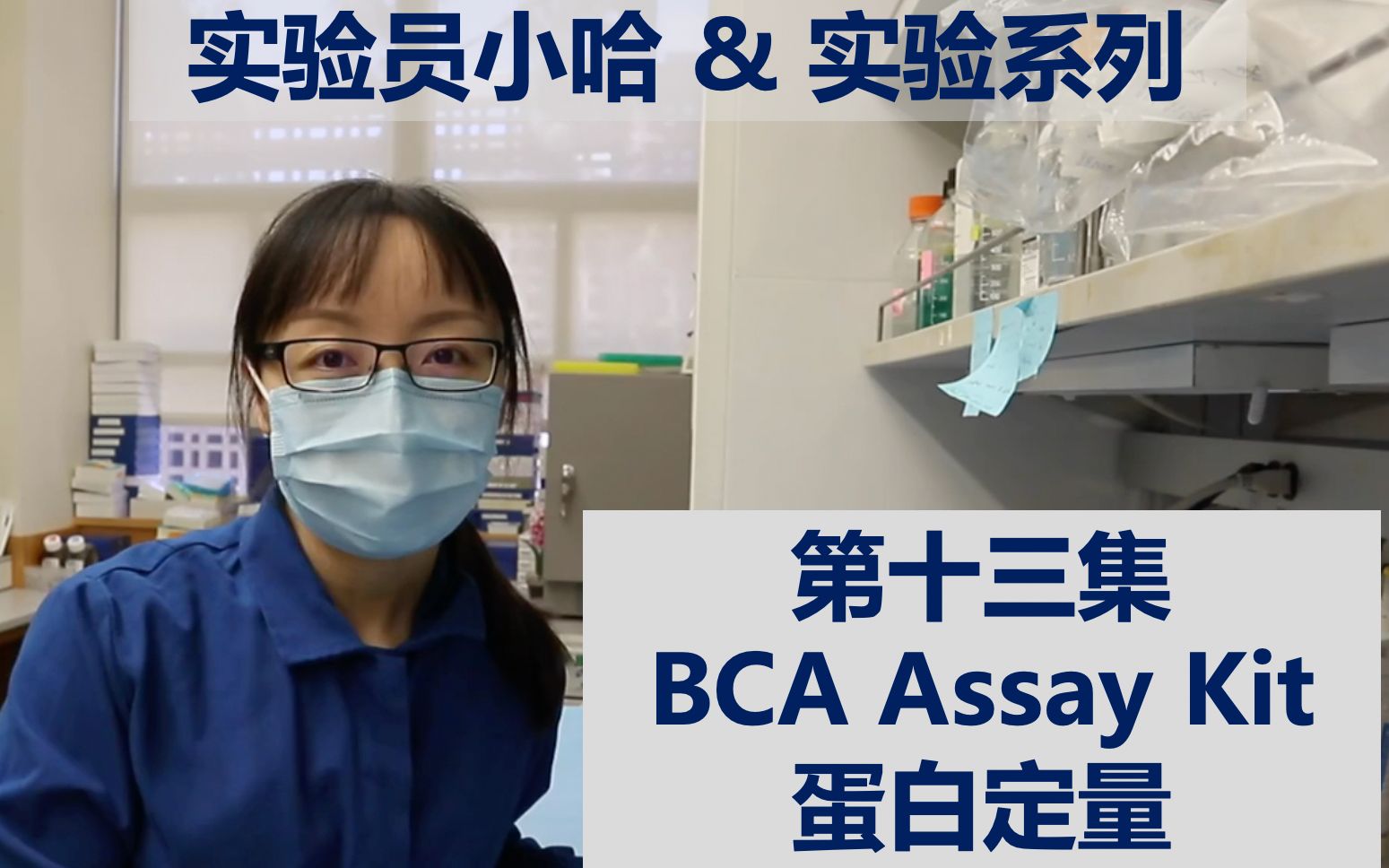 [图]实验员小哈&实验系列 - 第十三集 - BCA Assay Kit 蛋白定量