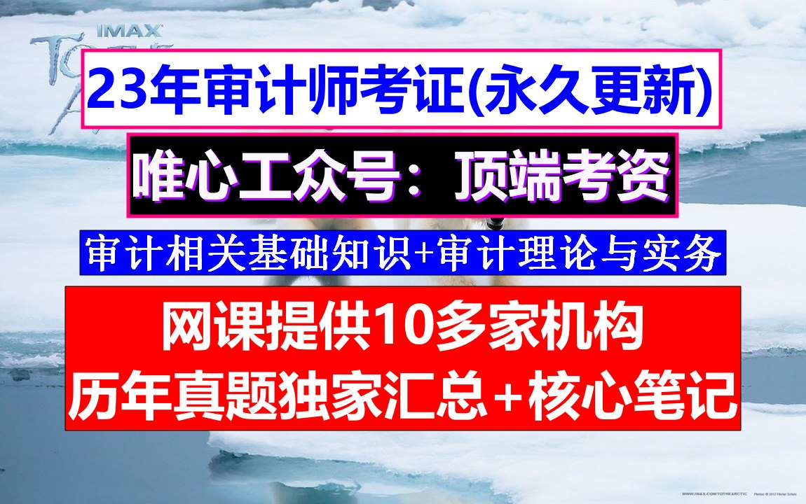 审计师考证,审计师考试真题答案,审计师职称考试时间哔哩哔哩bilibili